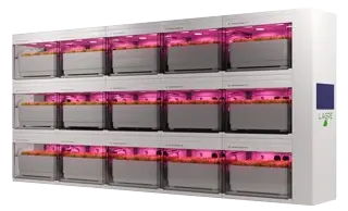 FG1 RESEARCH BOX