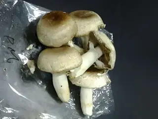 Control Mushrooms