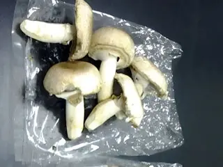 Control Mushrooms