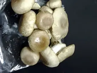 Novaland Mushrooms